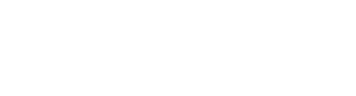 light logo
